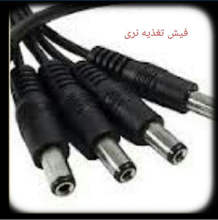 فیش تغذیه